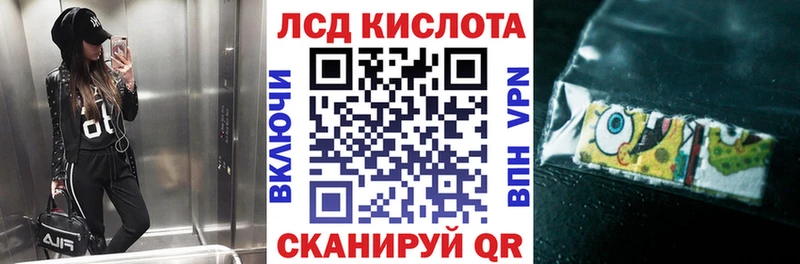 где купить   Зея  Наркотические марки 1500мкг 